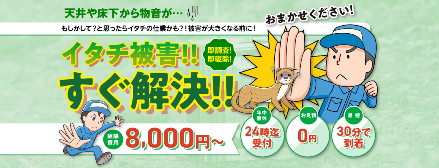 イタチ駆除センター